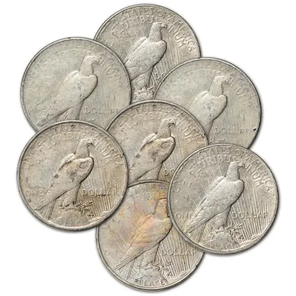US Peace Silver Dollar - Cull - Random Date