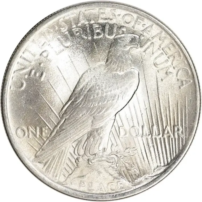1924 Peace Silver Dollar Coin $1 - BU #2