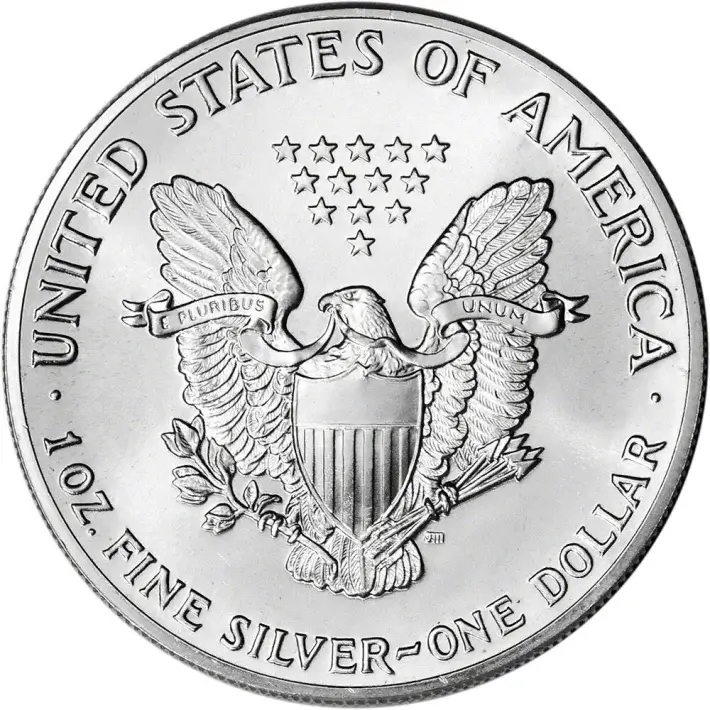 1989 American Silver Eagle Coin - NGC MS69 #3