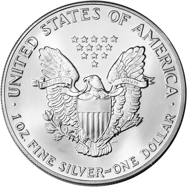 1991 American Silver Eagle Coin - NGC MS69 #3