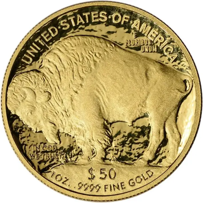 2008 W American Gold Buffalo Proof 1 oz $50 in OGP #3