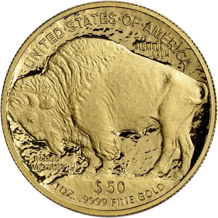 2009 W American Gold Buffalo Proof 1 oz $50 in OGP #2