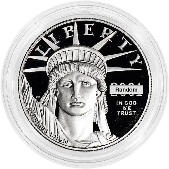 American Platinum Eagle Proof 1 oz $100 - Coin in Capsule - Random Date #3