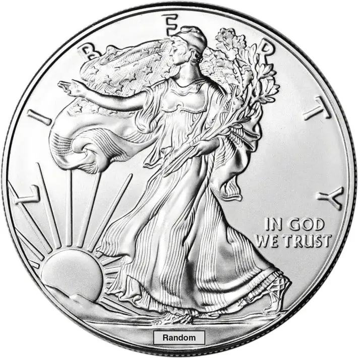 Random Date American Silver Eagle (1 oz) $1 - 1 Roll of 20 BU Coins in Mint Tube #3