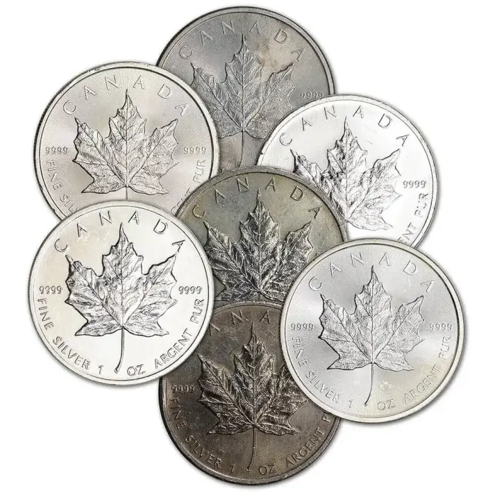 Canada Silver Maple Leaf 1 oz $5 Impaired - Random Date - Tube of 20 Coins #3