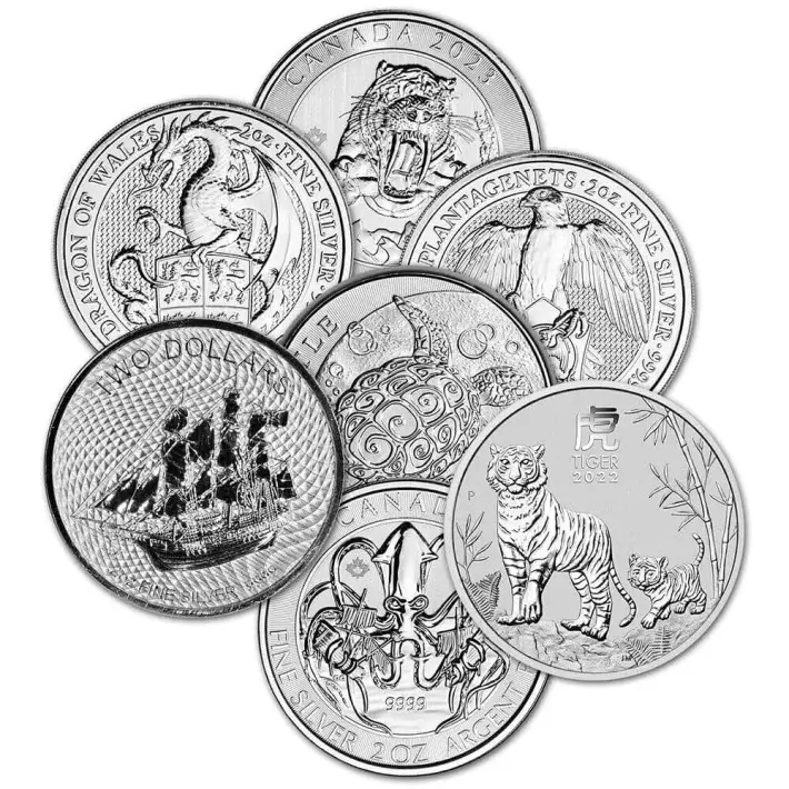 2 oz Silver Coin - Random Sovereign Mint - Secondary Market #1